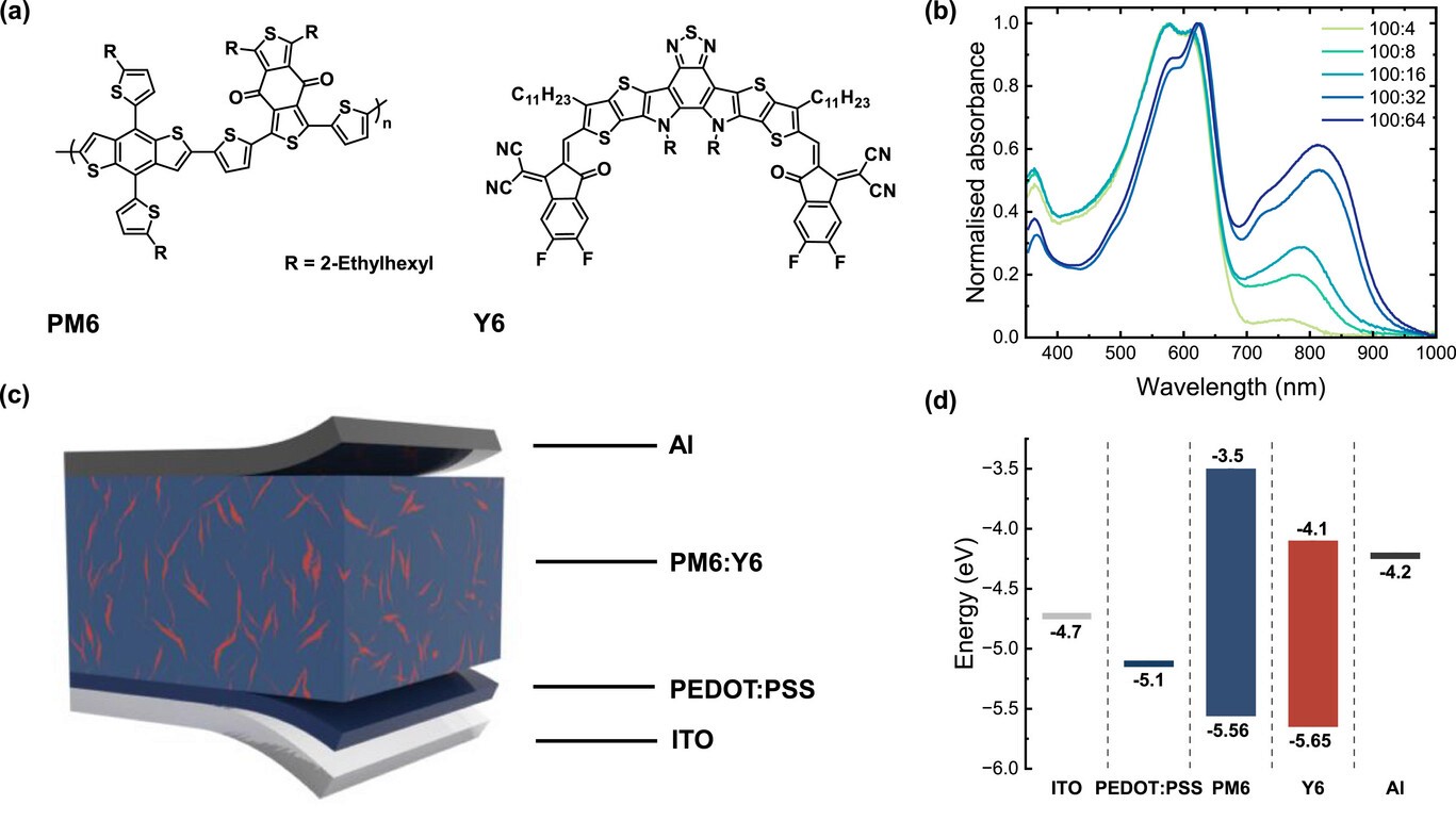 PM6:Y6 molecular structures, absorption and photomultiplication device energy levels.