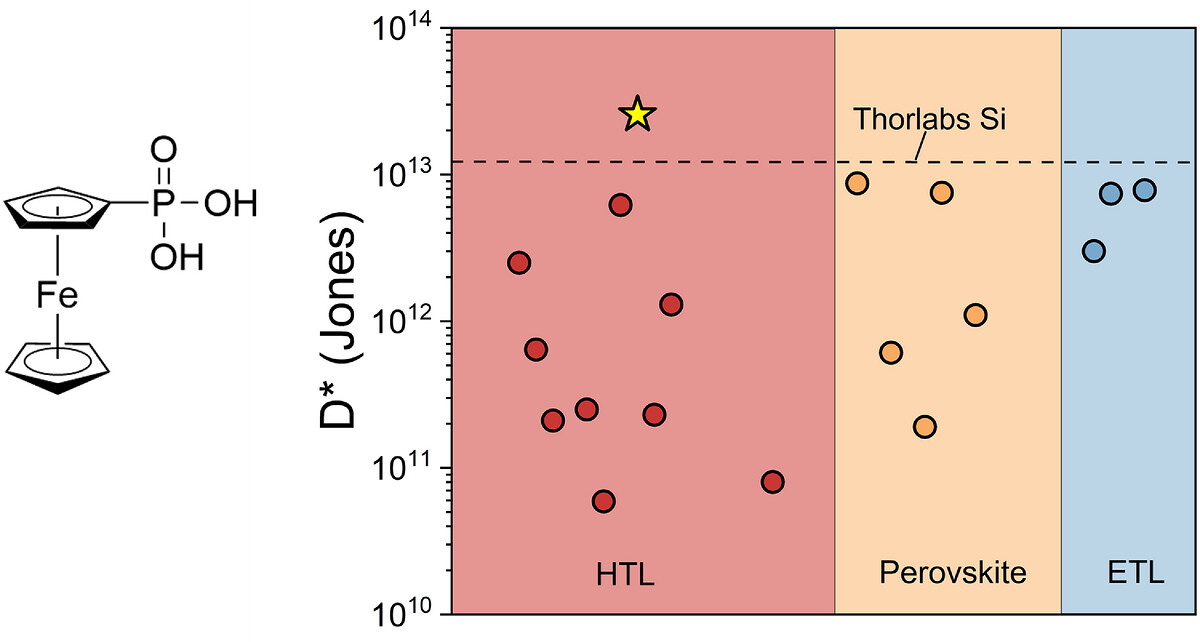 Graphical abstract of ferrocene-based self-assembled monolayers for ultra-high detectivity perovskite photodetectors