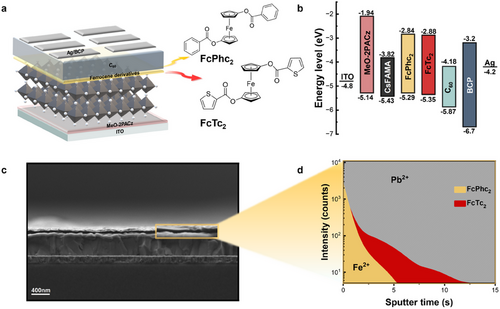 Perovskite photodetector architecture, ferrocene derivative structures, energy levels, cross-sectional microscopy and depth profile.