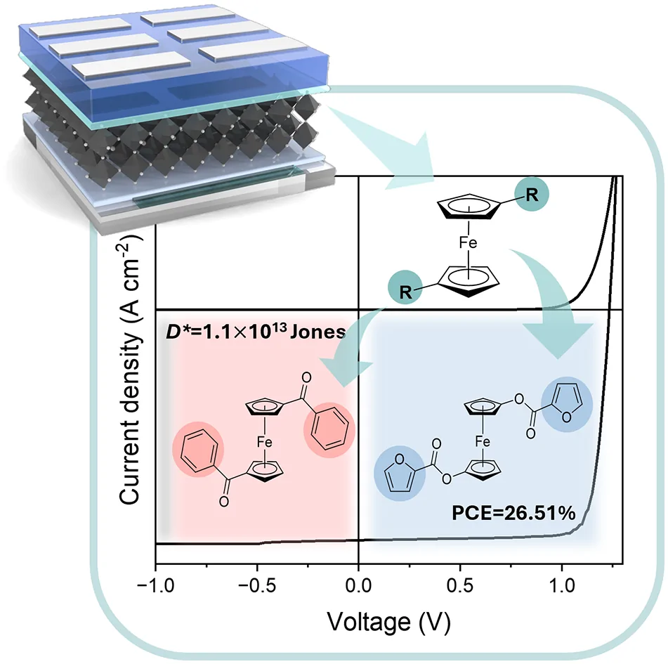 Ferrocene-based interlayers for perovskite photodetectors and solar cells.