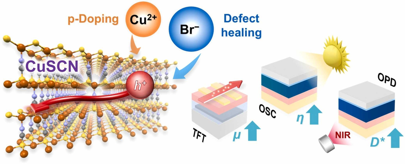 Graphical abstract showing CuBr2 doping and defect healing of CuSCN for transistors, solar cells and photodetectors