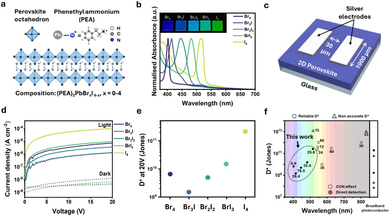 2D perovskite structure, absorption and narrowband photodetector performance.